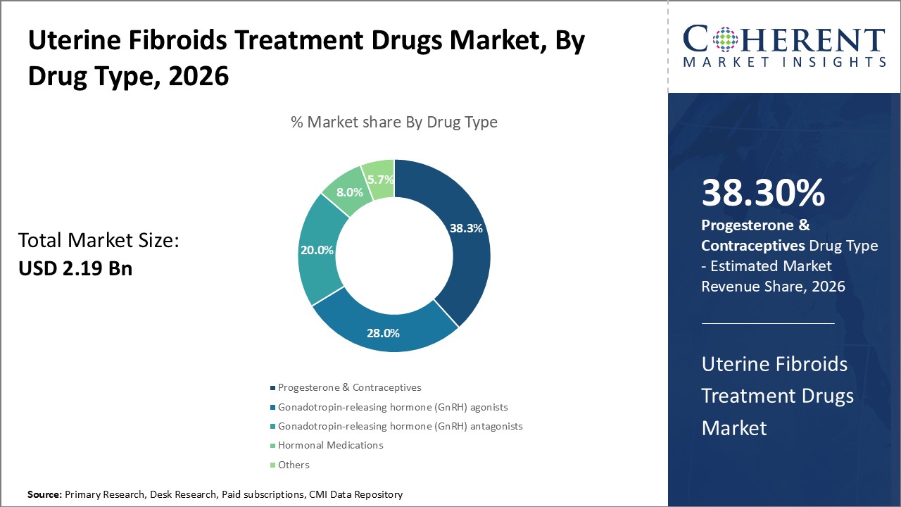 Uterine Fibroids Treatment Drugs Market, By Drug Type Uterine Fibroids Treatment Drugs Market, By Drug Type